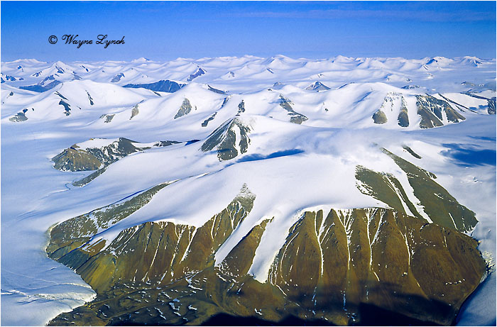 Northern Ellesmere National Park 102 by Dr. Wayne Lynch &copy;